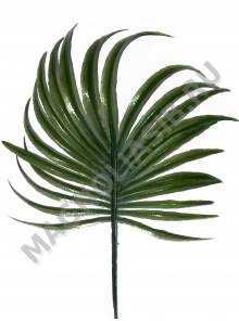ЦЕХЛист пальмы круглой пластм 1/32 см Зеленый