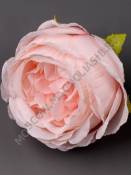 Роза-камелия флористическая 6см (бел св-роз роз перс борд)