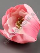 АКЦИЯ Тюльпан махровый 3сл 9см(бел мал перс роз сир)