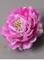 Пион махровый атласный 6сл 10.5см( роз сир бел-роз)