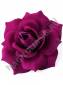 Роза бархатная цветная 5сл., 15 см (К) (Мал,Борд,Кр,Роз,Чай, Син, Сир)