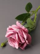 Ветка розы с бутоном 46см (бел крас борд пепел-сир чернич сливочн роз-крем )