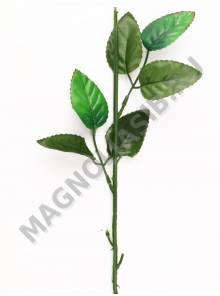 Нога с двумя тройными листьями розы на толстом стебле 56 см