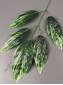 Ветка манго 5 листиков с бело-зелеными прожилками 57см (листик 16-19см)