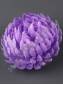 Хризантема шар Ностальжи 13 см (сир,желт,чайн, бел,роз,крас)