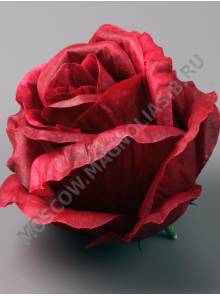 Роза Эквадор крупная неткан. 6сл 11.5см (бел крас син св-роз бордо мал чёр сир микс)/К