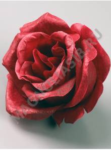 Роза Конфетти неткан 5сл 9см (бел кр гол борд пеп-роз сир шамп микс)/К