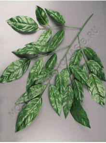 Ветка манго 5 веток натуральная зелень 75см.