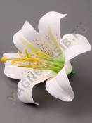 Лилия Садовая хлопок 13см без тычинки(бел син кр роз пер)  (тычинка см. 2200 2205 2