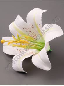 Лилия Садовая хлопок 13см без тычинки(бел син кр роз пер) (тычинка см. 2200 2205 2